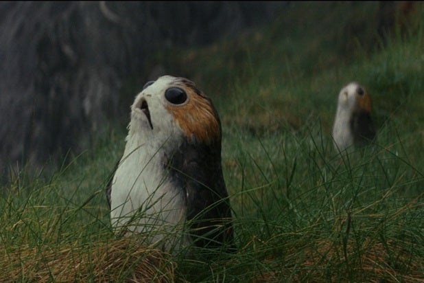 Every Porg In Star Wars The Last Jedi Ranked From Dorky To Adorable 