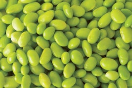 4/20 Is Also ‘National Lima Bean Respect Day’ – Here’s How You Can Show Some Respect