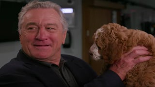 Somehow, Robert De Niro Has Never Seen a Dog Before (Video)