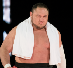 how a hollywood star tour made wwe's miz and maryse move