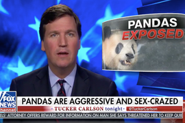 Tucker Carlson Exposes Aggressive Sex-Crazed Pandas: ‘Secret Stud With a Taste for Flesh’ (Video)