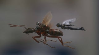 Where the Hell Was Ant-Man in ‘Avengers: Infinity War’?