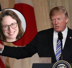 ny times maggie haberman donald trump