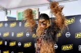 Chewbacca