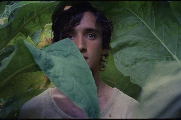 Happy as Lazzaro' Film Review: Alice Rohrwacher Charts the ...