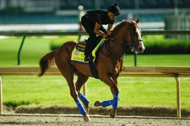 Kentucky Derby Winner Justify Wins Preakness, Sets Up Triple Crown Run