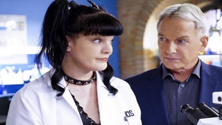 Inside the ‘NCIS’ Mess: How a Dog Bite Kept Pauley Perrette and Mark Harmon Apart on Set