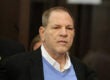harvey weinstein