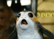star-wars-porg