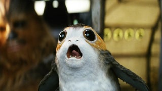 Cutest ‘Star Wars’ Creatures, Ranked: Are Ewoks, Droids or Porgs Most Adorable? (Photos)