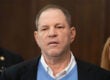 harvey weinstein