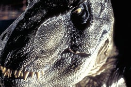 ‘Jurassic Park’ Turns 25: 21 Things You Probably Didn’t Know About the Dino Hit (Photos)