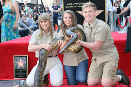 Crikey! We Just Got a Premiere Date for Animal Planet’s Bindi Irwin Show Honoring Dad Steve