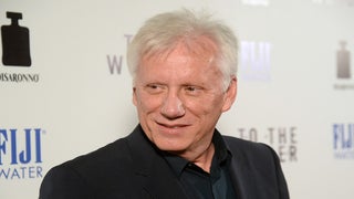 James Woods Helps Alyssa Milano, Holly Marie Combs With Horse Rescues During Southern California Fires