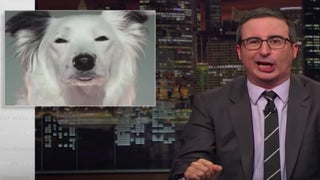 John Oliver Exposes the ‘Ray Liotta of Dogs’ – This ‘Gruff A–hole’ Who Hates Humane Society (Video)