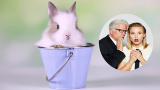 ‘The Good Place’ Season 3 Promo: Everything Is Fine, Just Look at This Bunny in a Bucket (Video)