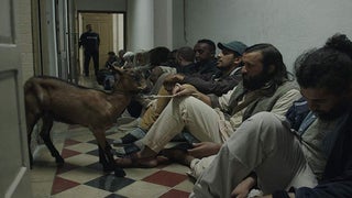 ShortList 2018: ‘Magic Alps’ Inspired by True Story of a Refugee and His Goat (Video)