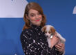 Emma Stone and a puppy