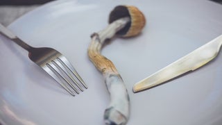 PRØHBTD’s ‘High Cuisine’ Docuseries Takes Food to Psychedelic Level (Exclusive)