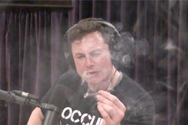 Watch Elon Musk Smoke a Blunt, Drink Whiskey During Joe Rogan Podcast Interview (Video)