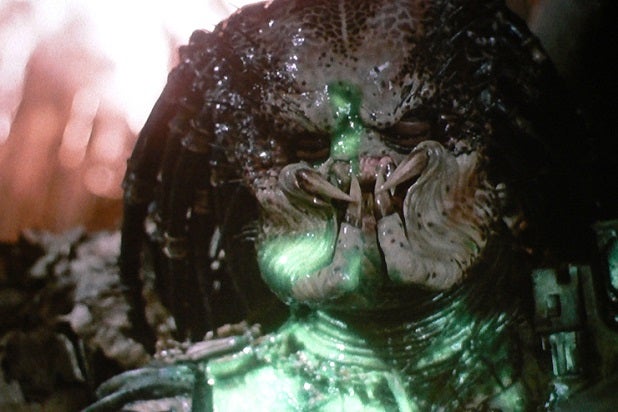 perfect predator lines what the hell are you perfect predator lines what the hell are you
