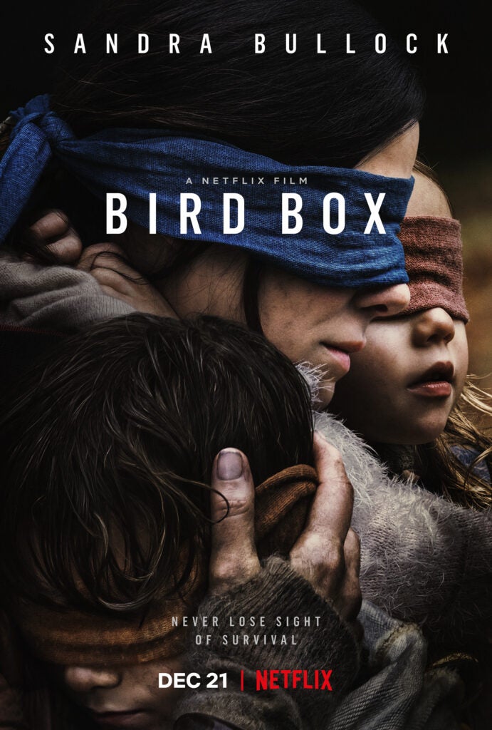 Bird Box Poster