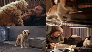 Give These Pets an Oscar! 11 Best Animal Actors in 2018 (Photos)