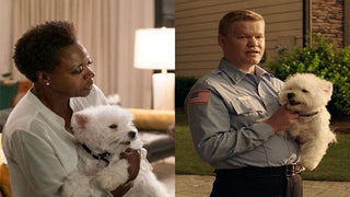 Meet Olivia, the Cute Dog Who Starred in Both ‘Widows’ and ‘Game Night’ This Year