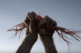 Lion King trailer