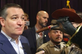 Triumph the Insult Comic Dog Lifts His Leg on Ted Cruz With Brutal Megyn Kelly Burn (Video)