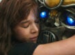 Bumblebee