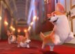 The Queens Corgi