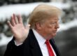 Donald Trump Hand