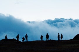 ‘Monos’ Film Review: Evocative, Oblique Film Follows Kid Commandoes and Their Prisoners