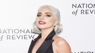 Lady Gaga Offers $500,000 Reward After Thief Stole 2 Bulldogs and Shot Her Dog Walker