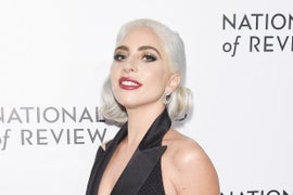 Lady Gaga Offers $500,000 Reward After Thief Stole 2 Bulldogs and Shot Her Dog Walker
