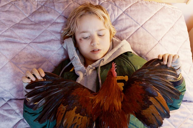 mobile homes chicken