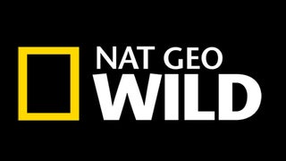 Nat Geo Wild’s Spring and Summer Slate: Dogs and Cats and Hippos, Oh My (Exclusive)
