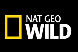 Nat Geo Wild’s Spring and Summer Slate: Dogs and Cats and Hippos, Oh My (Exclusive)