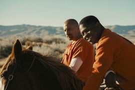 ‘The Mustang’ Film Review: Matthias Schoenaerts Tames a Horse and Saves Himself in Prison Drama