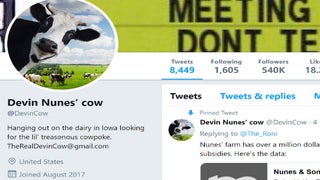 ‘Devin Nunes’ Cow’ Parody Account Gets More Followers Than Nunes After His Twitter Lawsuit