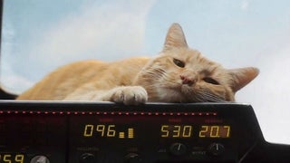 ‘Captain Marvel’: What the Hell Actually Is a Flerken?