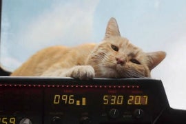 ‘Captain Marvel’: What the Hell Actually Is a Flerken?