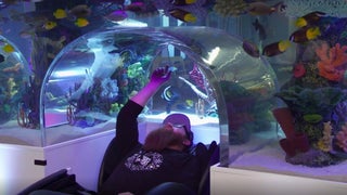‘Tanked’ Canceled by Animal Planet After 15 Seasons