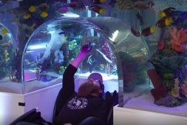 ‘Tanked’ Canceled by Animal Planet After 15 Seasons