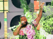 kids choice awards 2019 dj khaled