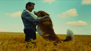 ‘A Dog’s Journey’ Film Review: Reincarnating Dog Returns to the Margins of a Young Girl’s Troubles