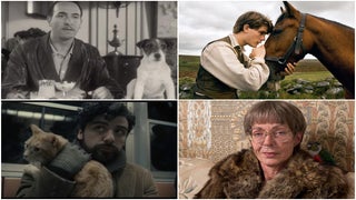 16 Scene-Stealing Animals in Movies, From ‘The Wizard of Oz’ to ‘Captain Marvel’ (Photos)