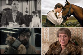 16 Scene-Stealing Animals in Movies, From ‘The Wizard of Oz’ to ‘Captain Marvel’ (Photos)