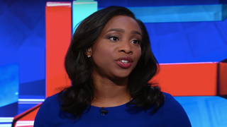 CNN Reporter Attacked by Lizard on Live Television (Video)